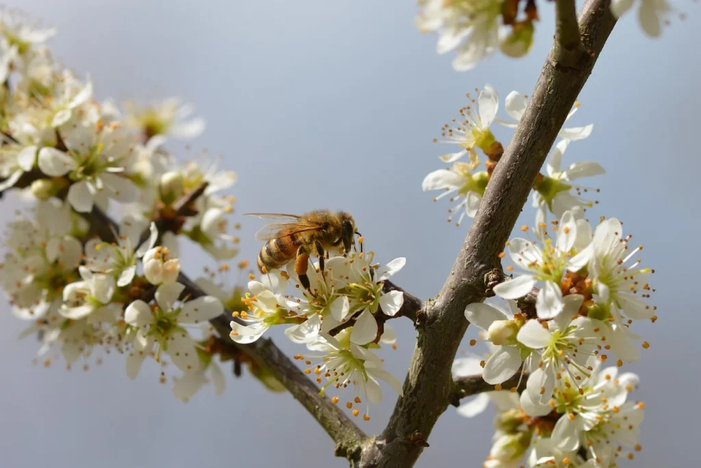 allergia tünetei1_2